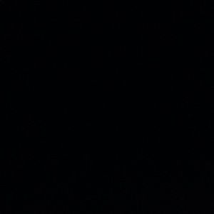 Meet your Posher, Joey